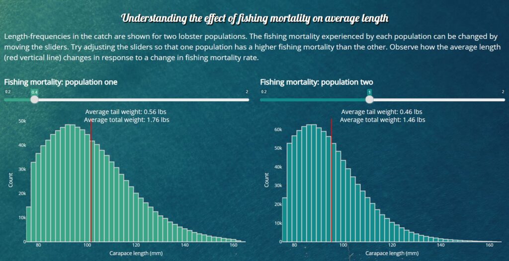 Population dynamics modeling