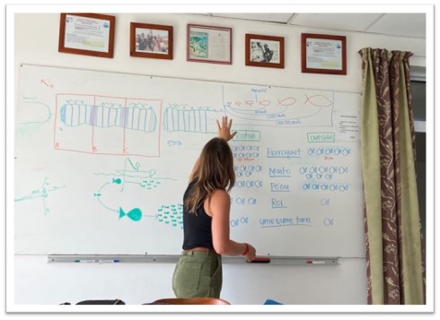 Peyton Moore using a whiteboard to teach clients