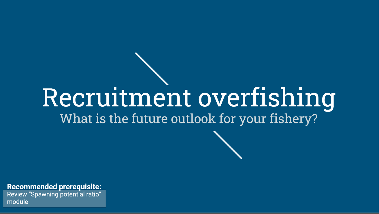 Recruitment overfishing text